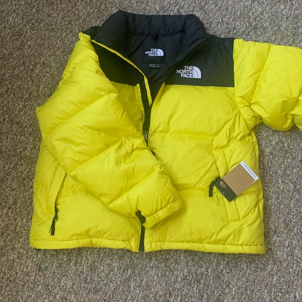 Mens Neptune north face